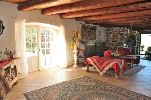 Maison Saint Privat d'Allier 10 pièces 482 m2