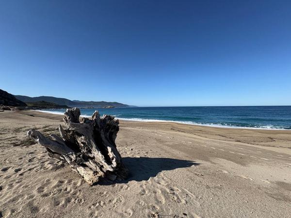 MAISON SUR LA PLAGE DU LIAMONE !