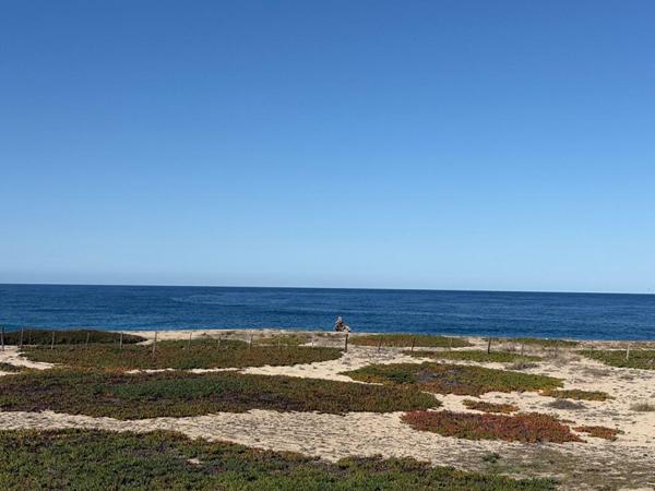 MAISON SUR LA PLAGE DU LIAMONE !