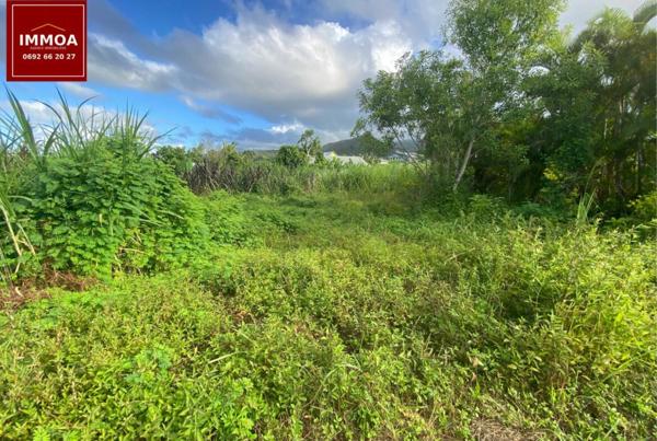 Exclusivité – Terrain à vendre 320 m2 constructible secteur sainte-anne ( cambourg) 97437