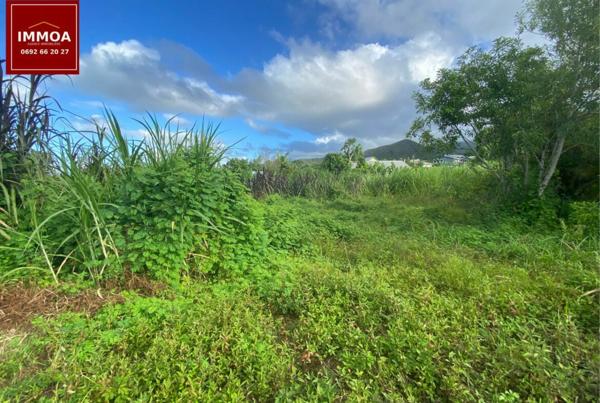 Exclusivité – Terrain à vendre 320 m2 constructible secteur sainte-anne ( cambourg) 97437