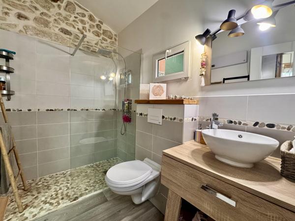 Vente / Maison avec dépendance