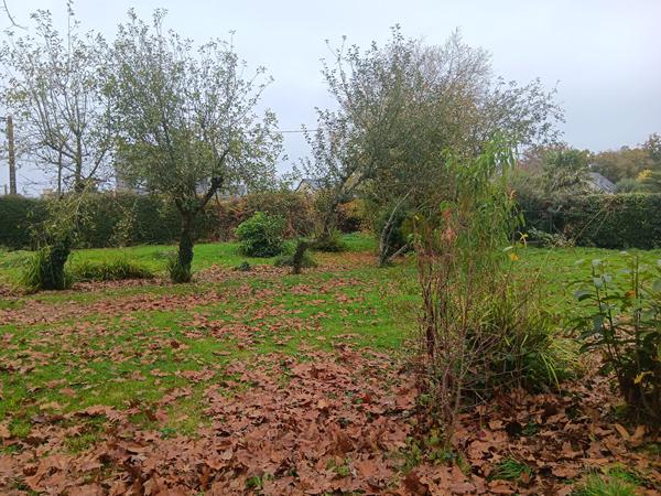 Languidic terrain constructible de 905 m2 , Languidic