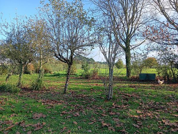 Languidic terrain constructible de 905 m2 , Languidic