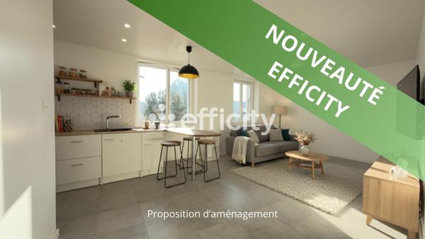 Appartement 2 pièces - 60 m² Exclusivité efficity