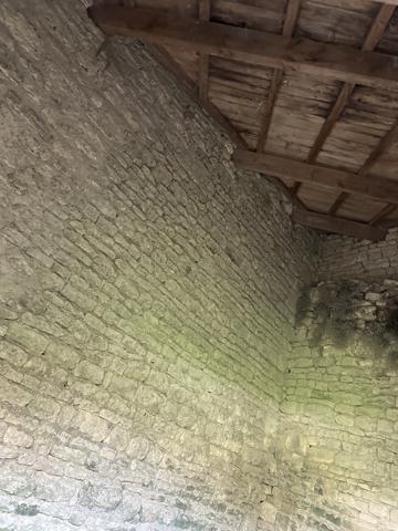 Ancienne commanderie templière  Beauvais-sur-Matha (17490)