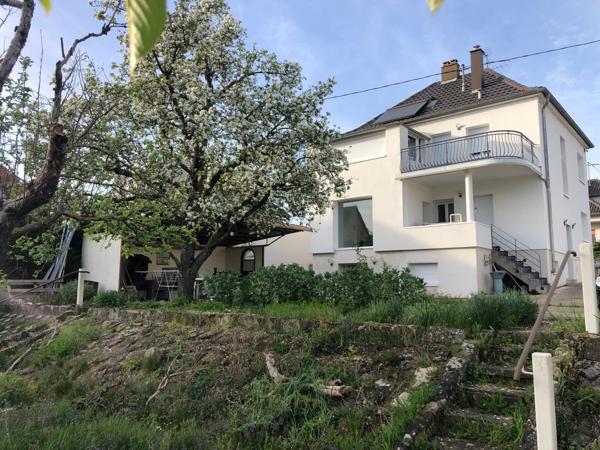 À vendre - Maison individuelle, 6 pièces située à Mommenheim (67670)