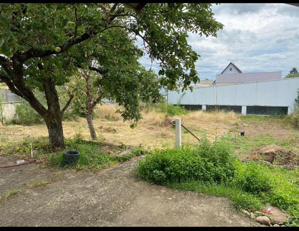 À vendre - Maison individuelle, 6 pièces située à Mommenheim (67670)