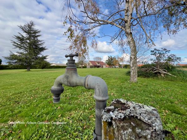 Dpt Allier (03) A vendre à Varennes sur Allier - Longère T6 garages, grande terrasse couverte, terrain clos et arboré de 4000m2