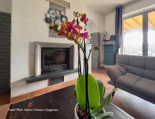 Dpt Allier (03) A vendre à Varennes sur Allier - Longère T6 garages, grande terrasse couverte, terrain clos et arboré de 4000m2