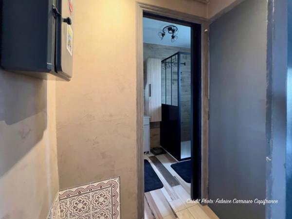 Dpt Allier (03) A vendre à Varennes sur Allier - Longère T6 garages, grande terrasse couverte, terrain clos et arboré de 4000m2