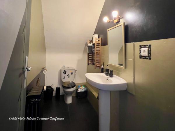 Dpt Allier (03) A vendre à Varennes sur Allier - Longère T6 garages, grande terrasse couverte, terrain clos et arboré de 4000m2