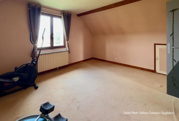 Dpt Allier (03) A vendre à Varennes sur Allier - Longère T6 garages, grande terrasse couverte, terrain clos et arboré de 4000m2