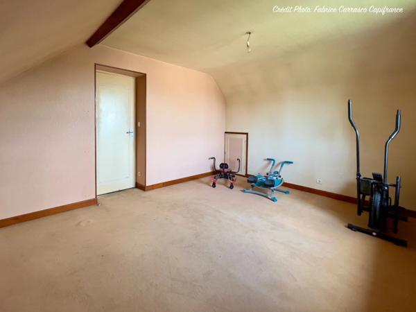 Dpt Allier (03) A vendre à Varennes sur Allier - Longère T6 garages, grande terrasse couverte, terrain clos et arboré de 4000m2