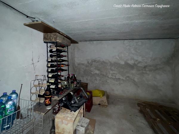 Dpt Allier (03) A vendre à Varennes sur Allier - Longère T6 garages, grande terrasse couverte, terrain clos et arboré de 4000m2