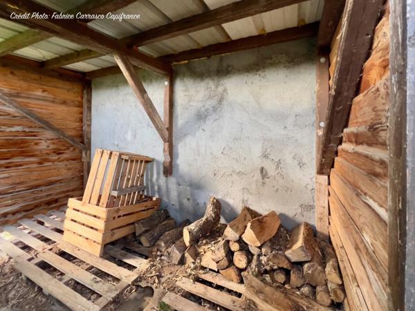 Dpt Allier (03) A vendre à Varennes sur Allier - Longère T6 garages, grande terrasse couverte, terrain clos et arboré de 4000m2