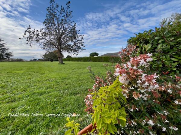 Dpt Allier (03) A vendre à Varennes sur Allier - Longère T6 garages, grande terrasse couverte, terrain clos et arboré de 4000m2