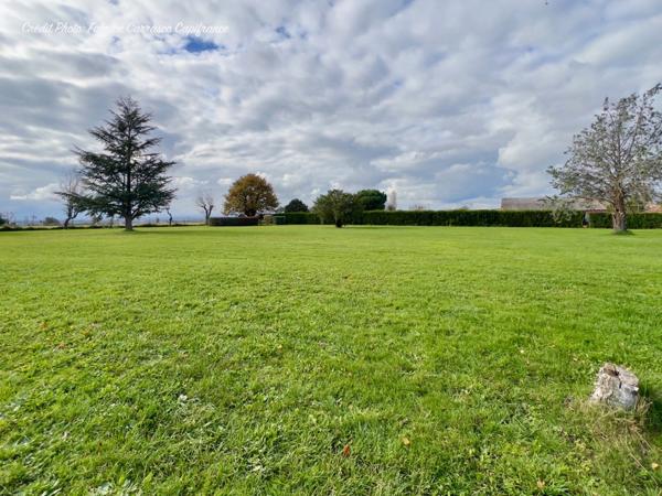 Dpt Allier (03) A vendre à Varennes sur Allier - Longère T6 garages, grande terrasse couverte, terrain clos et arboré de 4000m2