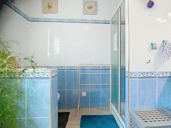 Achat maison Caudebec-lès-Elbeuf - 6 pièce(s) - 273 m² - 424 000 €