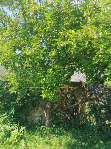 Maison à vendre à Lanvollon dans les Côtes-d'Armor (22290), ref : 22017-1321