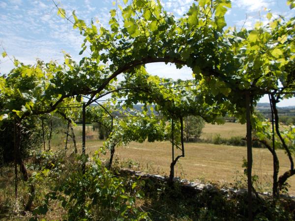Maison Marcillac Vallon 4 pièce(s) 100 m2