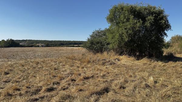 Vente / Terrain à Pibrac (31820)