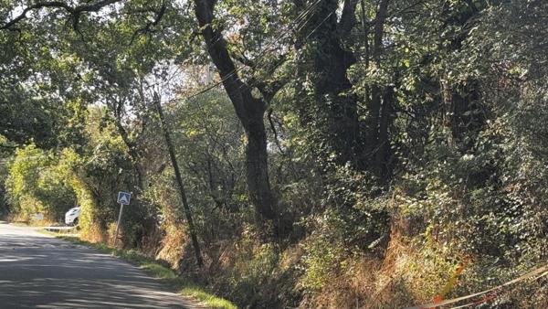 Vente / Terrain à Pibrac (31820)