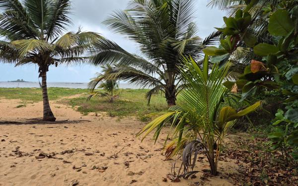 Maison à vendre    4 pièces •  Cayenne