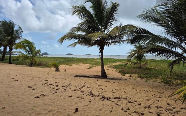 Maison à vendre    4 pièces •  Cayenne