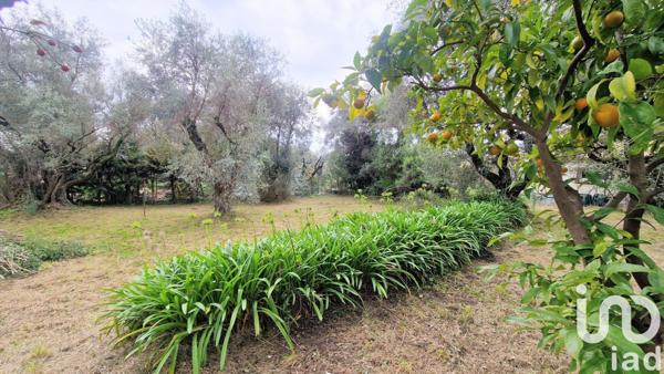 Maison traditionnelle 7 pièces de 200 m² à Tourrettes-sur-Loup (06140)