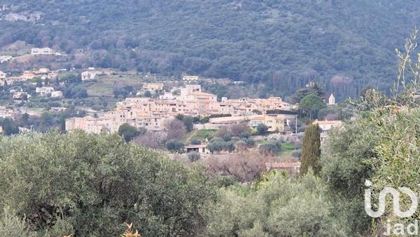 Maison traditionnelle 7 pièces de 200 m² à Tourrettes-sur-Loup (06140)