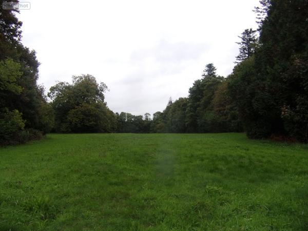 Château à vendre à Saint-Denis-de-Gastines en Mayenne (53500), ref : 53047/97