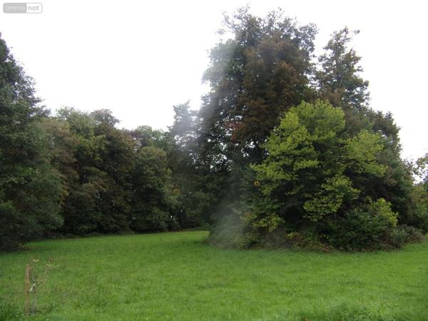 Château à vendre à Saint-Denis-de-Gastines en Mayenne (53500), ref : 53047/97