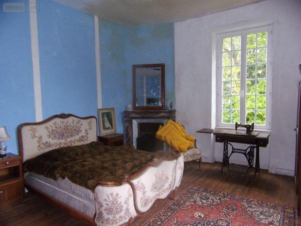 Château à vendre à Saint-Denis-de-Gastines en Mayenne (53500), ref : 53047/97