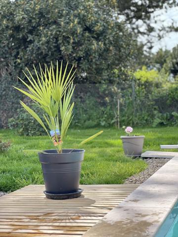 MAISON RÉCENTE AVEC PISCINE