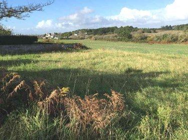 Terrain de loisirs - Bois - Etang à vendre à Esquibien dans le Finistère (29770), ref : 29021-TB00417