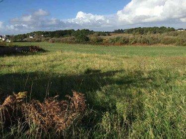 Terrain de loisirs - Bois - Etang à vendre à Esquibien dans le Finistère (29770), ref : 29021-TB00417