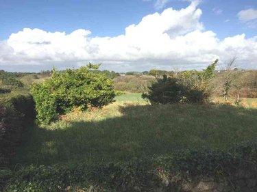 Terrain de loisirs - Bois - Etang à vendre à Esquibien dans le Finistère (29770), ref : 29021-TB00417