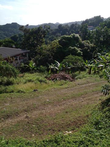 A vendre terrain avec une faible pente, idéal pour un plain-pied