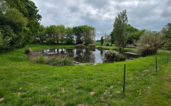 Maison à vendre    6 pièces •  Bodilis