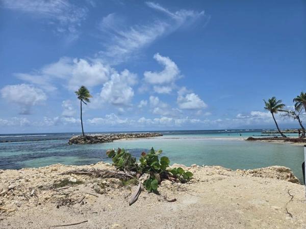 Appartement à vendre 244 950 € Sainte-Anne 2 p 41 m² DPE