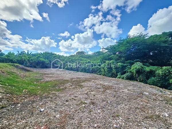 Coup de coeur assuré pour cette villa contemporaine offrant de beaux volumes d'une surface habitable de 119 m2 (surface utile 160 m2)
édifiée de plain-pied sur une parcelle de 1543 m2.
A seulement 5 minutes des commodités du centre-ville et de la plage des Raisins Clairs, au calme elle bénéficie d'un environnement idéal.
De construction atypique, elle se compose de 3 modules
- le premier est un espace pièce à vivre de 40 m2 avec son grand salon et sa cuisine ouverte équipée moderne , un toilette invité, un cellier
extérieur.
- Empruntez le patio et vous accédez au second module offrant deux grandes suites parentales climatisées avec douche à l'italienne, dressing
et toilettes.
- Enfin, le troisième espace bénéficiant d'une vue directe avec ses baies vitrées sur la piscine est une troisième suite parentale climatisée
avec son dressing, sa salle d'eau douche à l'italienne et toilettes.
Vous profiterez également d'une grande terrasse et sa piscine au sel de dimension 4x4 (achevée il y a un an) avec son liner pierres de Bali.
La villa sera cédée avec son mobilier vous n'avez plus qu'à poser vos valises!
Ses équipements : citerne tampon 3300 litres , fibre optique, carport pouvant abriter 2 véhicules et assainissement individuel avec conformité.
Atout supplémentaire: la bonne implantation de la villa sur la parcelle laisse place à une bande de terrain restante laissant un potentiel de
construction additionnel (située en zone u4 du PLU) comme des bungalows ...
Etiquette énergétique: classe B
Vous l'avez compris cette villa est un petit bijou avec encore un potentiel restant, alors n'hésitez pas à me contacter pour de plus amples
informations, accéder au reportage photos complet ou à la vidéo!
Pour le réseau BSK Immobilier : Delphine MIRANDA (EI)
Honoraires charge vendeur