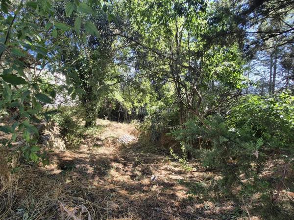 Vente Terrain 1333 m2 à Draguignan