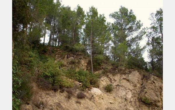 Vente Terrain Villeseque-des-corbieres   
