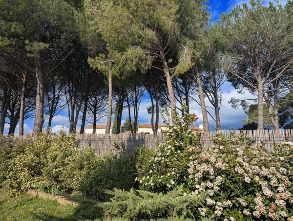 Villa de plain pied 3 chambres garage piscine