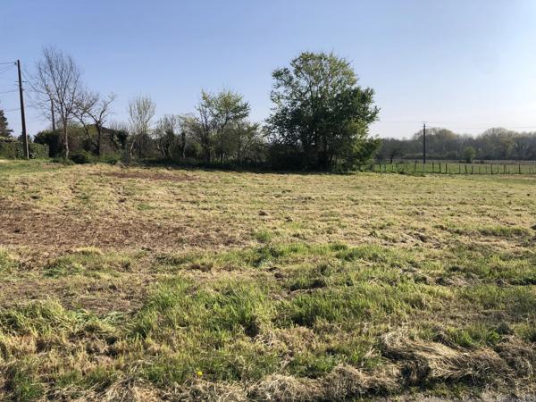 Immobilier Neuvic (24190) – Terrain constructible 1230m2 – 24 500 €