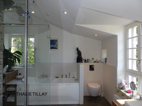 SAINT PRYVE SAINT MESMIN a vendre , propriete maison de maitre, bord du Loiret , 287 m² habitables, parc de 1ha.