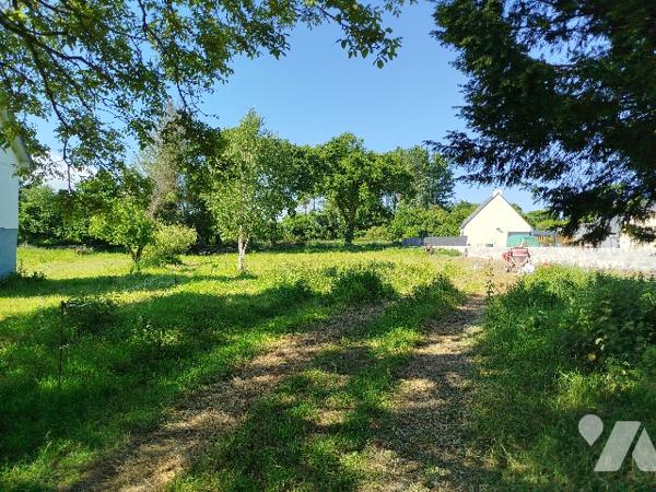 A PLAINTEL, Secteur Tréougat, terrain à bâtir, non viabilisé, libre de constructeur et borné