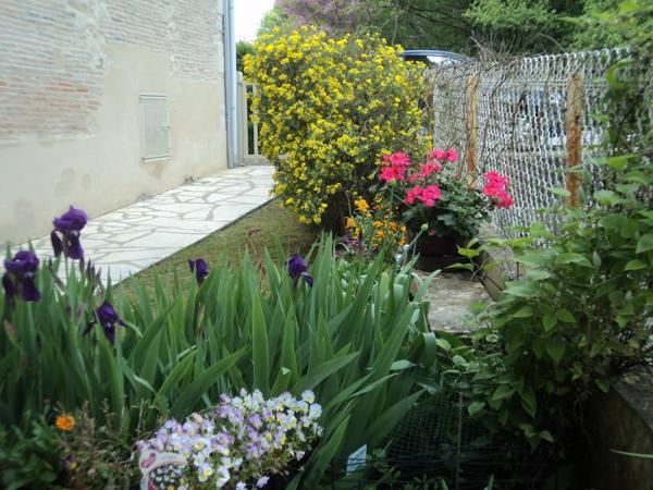 Maison à vendre 4 pièces CHAMPAGNE MOUTON (16)