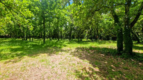 Saint-Siffret (30700) A vendre à Saint-siffret, beau terrain à bâtir viabilisé au coeur d'une chênaie.